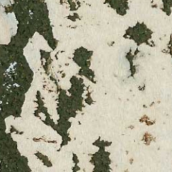 Пробковые настенные покрытия в пластинах Малага Абедуль