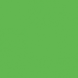 Быстросохнущая краска для древесины BelAir 7261 зеленый тростник укрывистая (0,75 л)