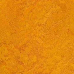 Marmoleum Dual Marigold (t3226)