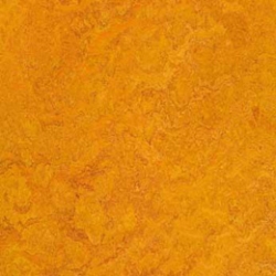 Marmoleum Real Marigold (3226)