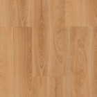 Пробковое покрытие Beech Floor Board