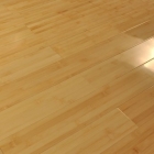 Ламинат Массивная доска BAMBOO FLOORING БАМБУК НАТУР ГЛЯНЕЦ