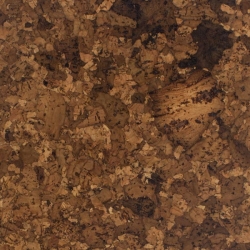 Earth (Под заказ) Amazonia