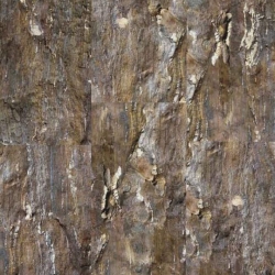 PrintCork Fantazy/Stone Fossil