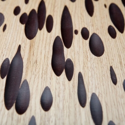 Workshop Mussel 0003