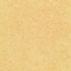 Marmoleum Dual Butter (t2795)