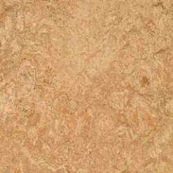 Marmoleum Real Shell (3075)