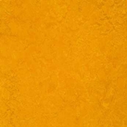 Marmoleum Dual Golden sunset (t3125)