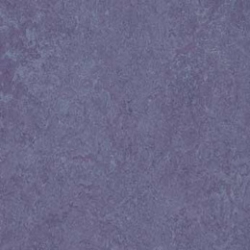 Marmoleum Dual Hyacinth (t3221)