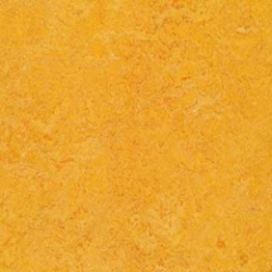 Marmoleum Real Dandelion (3225)