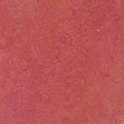 Marmoleum Real Blush (3230)
