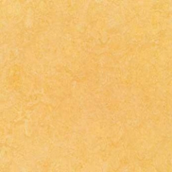 Fresco Natural corn (3846)