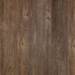 Tarkett WoodStock Premium 833 Tarkett Woodstock Premium 833 Дуб Робин Коричневый