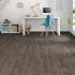 Tritty 100 loft 4v Дуб Канзас 530307