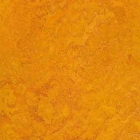 Пробковое покрытие Marigold (t3226)